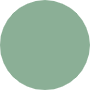 dark-green-transparent.png